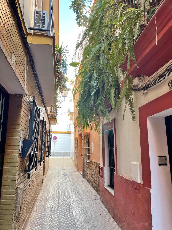 شقة Barrio De Santa Cruz, La Juderia. Zona Inmejorable إشبيلية المظهر الخارجي الصورة